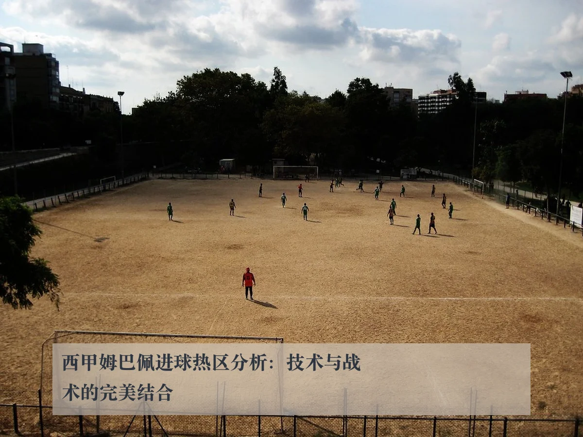 西甲姆巴佩进球热区分析:技术与战术的完美结合